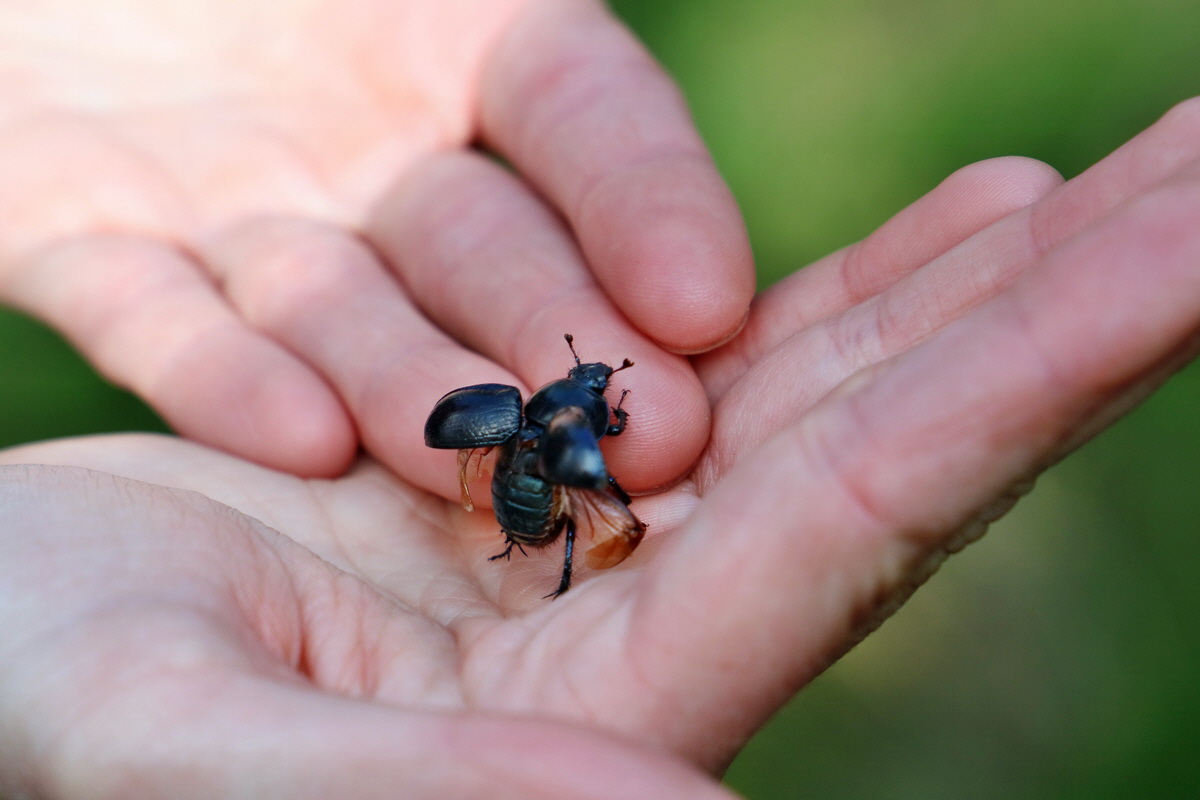 RNA_2017_04_30_1206p_Bildgr��e �ndern