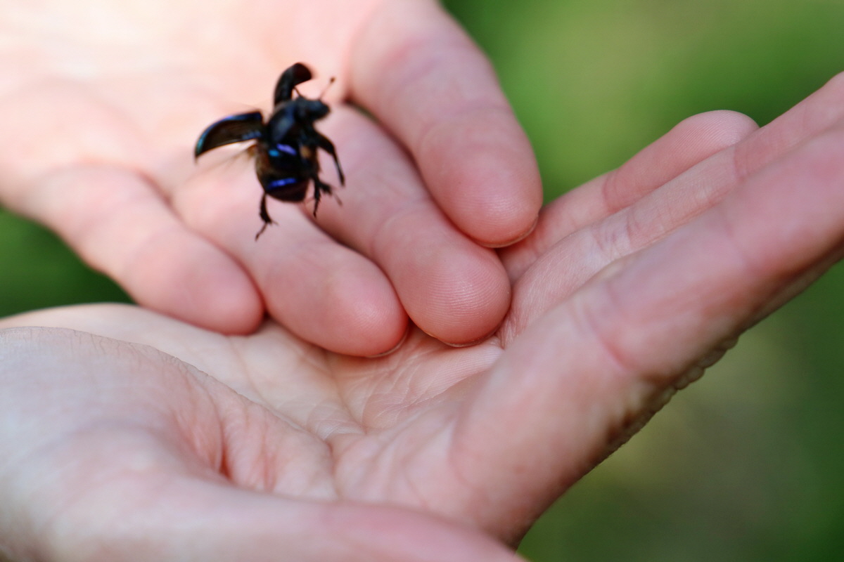 RNA_2017_04_30_1209p_Bildgr��e �ndern