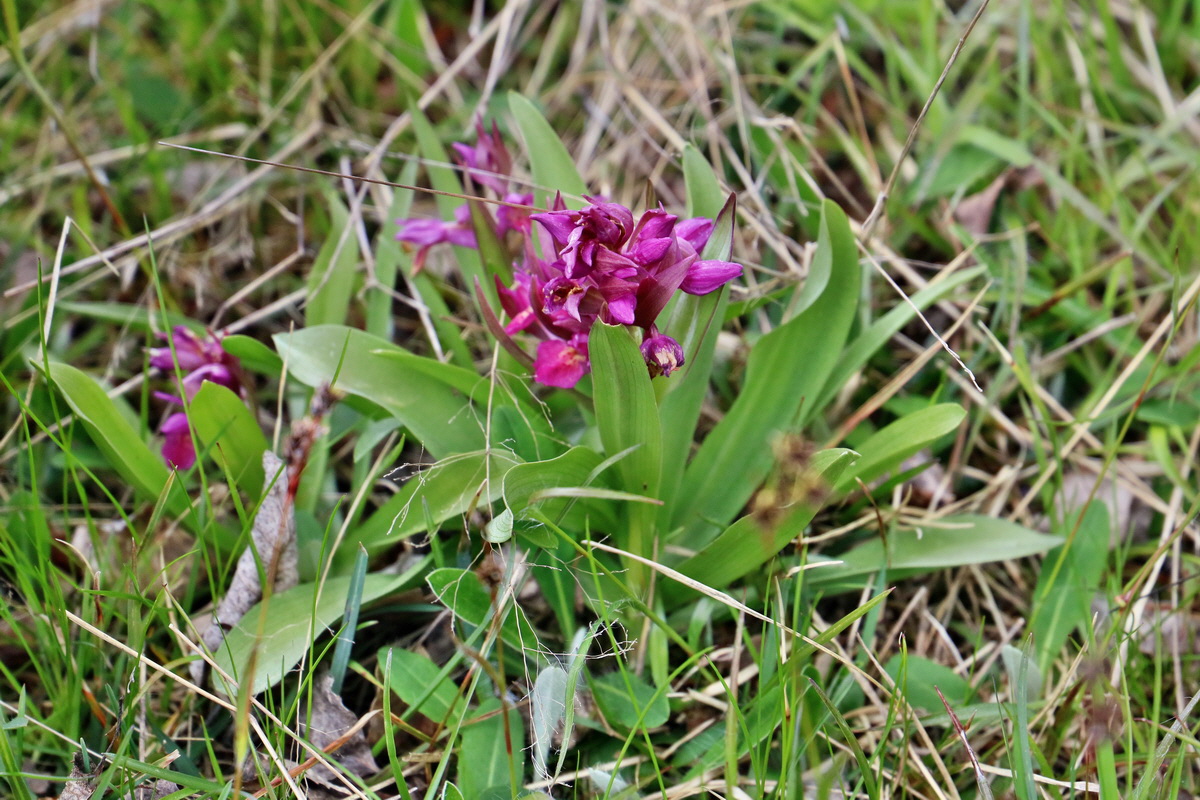 RNA_2017_04_30_1217p_Bildgr��e �ndern