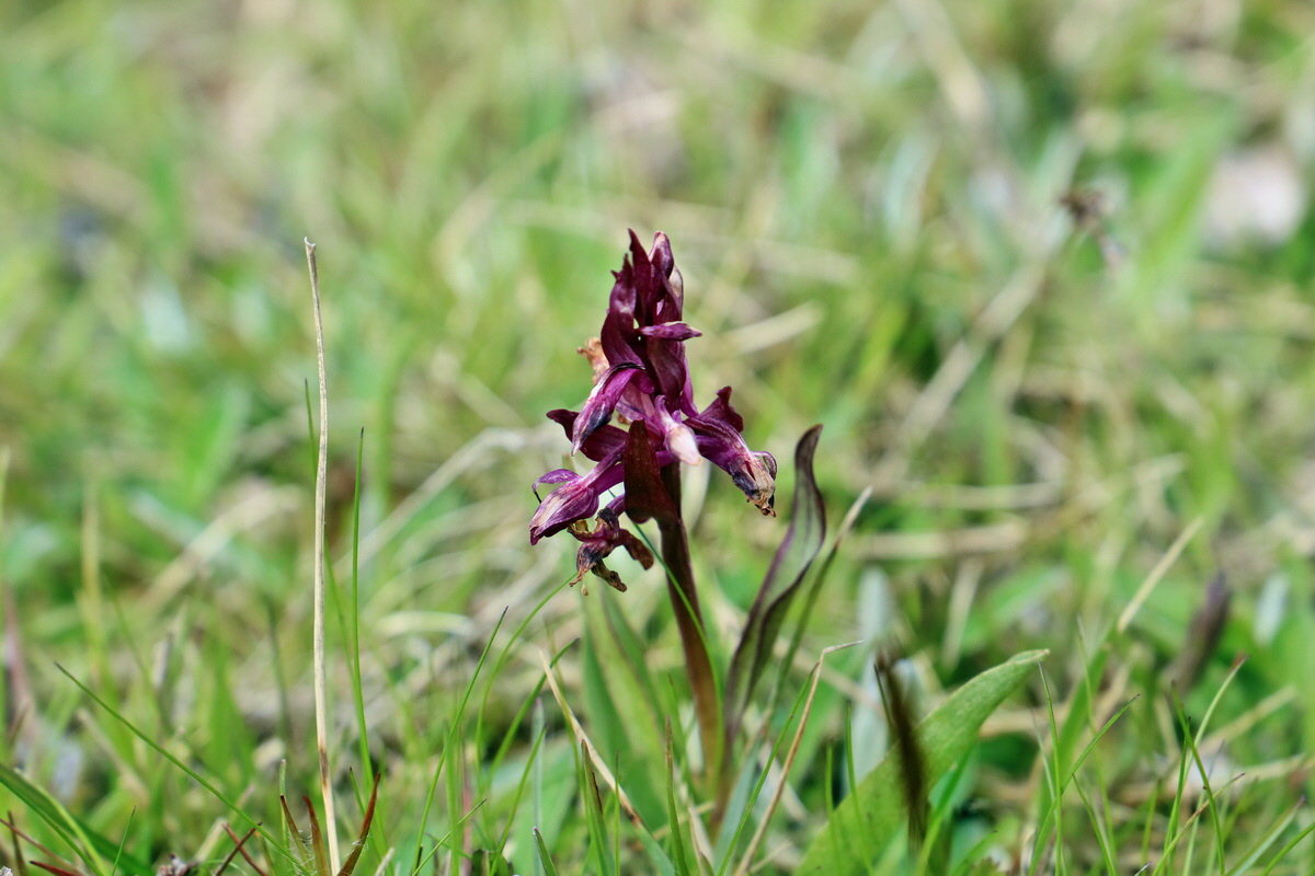 RNA_2017_04_30_1222p_Bildgr��e �ndern