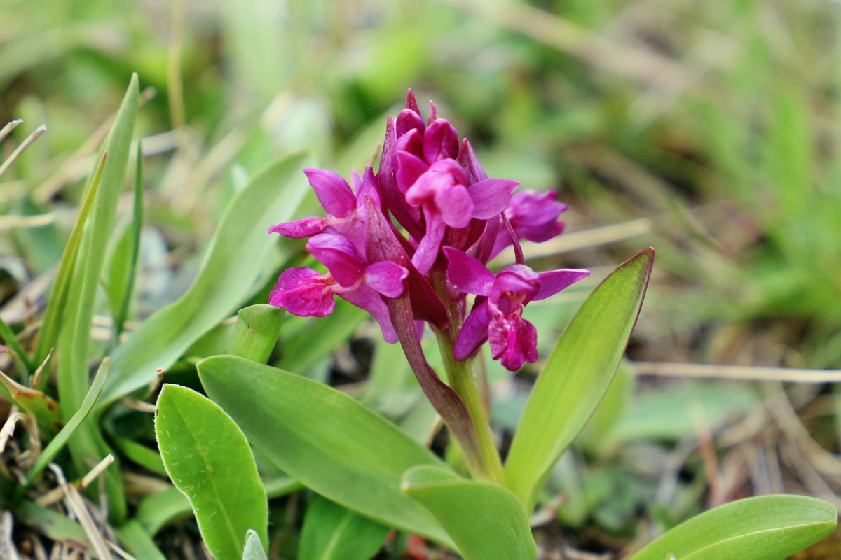 RNA_2017_04_30_1236p_Bildgr��e �ndern