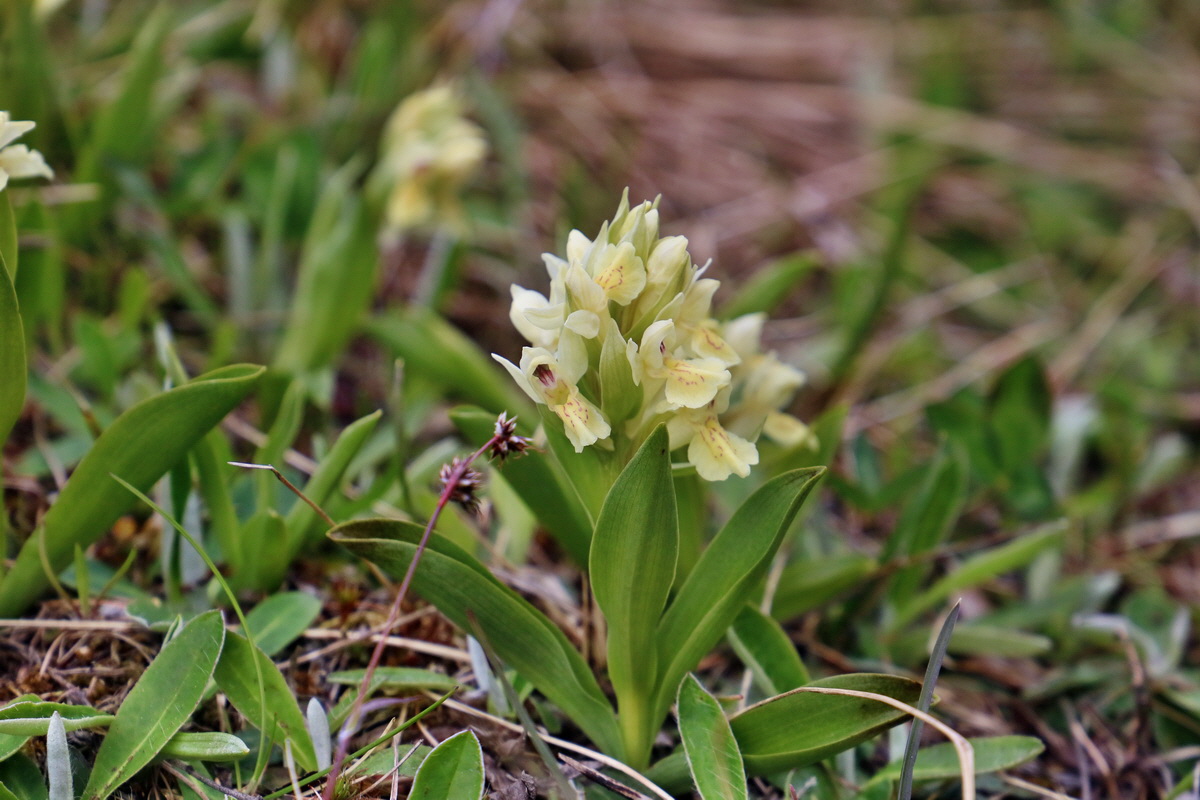 RNA_2017_04_30_1238p_Bildgr��e �ndern