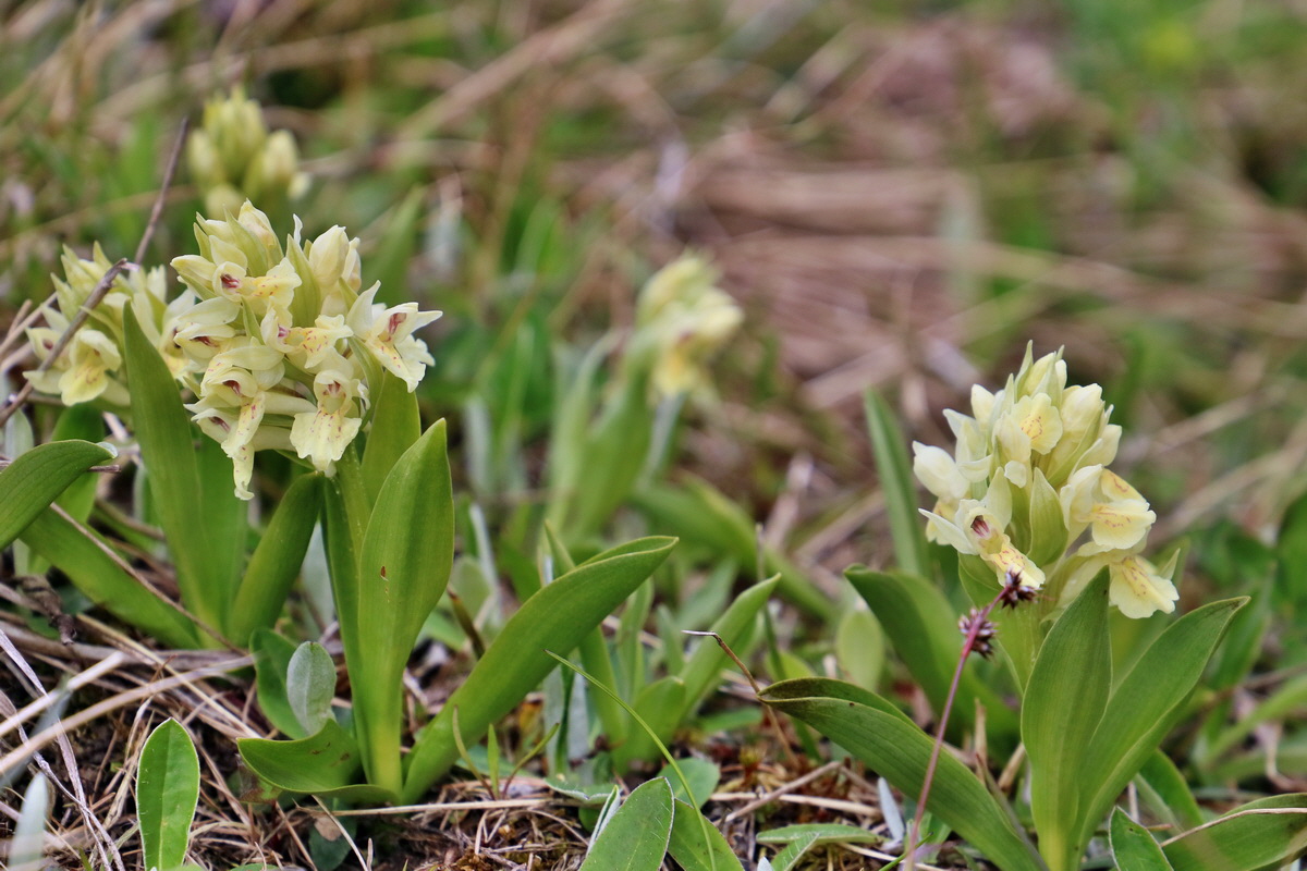 RNA_2017_04_30_1239p_Bildgr��e �ndern