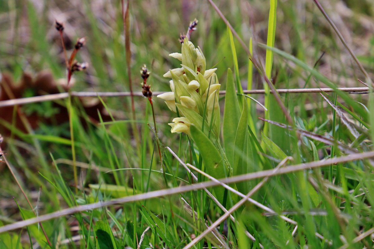 RNA_2017_04_30_1243p_Bildgr��e �ndern