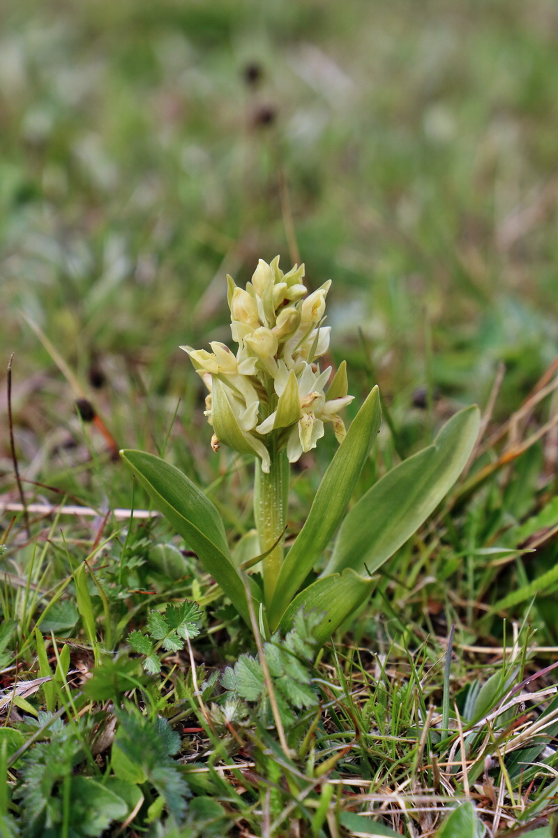 RNA_2017_04_30_1247p_Bildgr��e �ndern