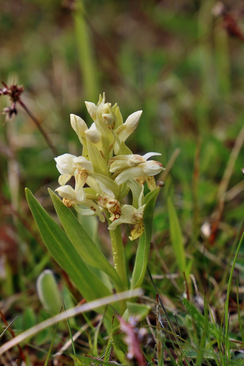 RNA_2017_04_30_1252p_Bildgr��e �ndern