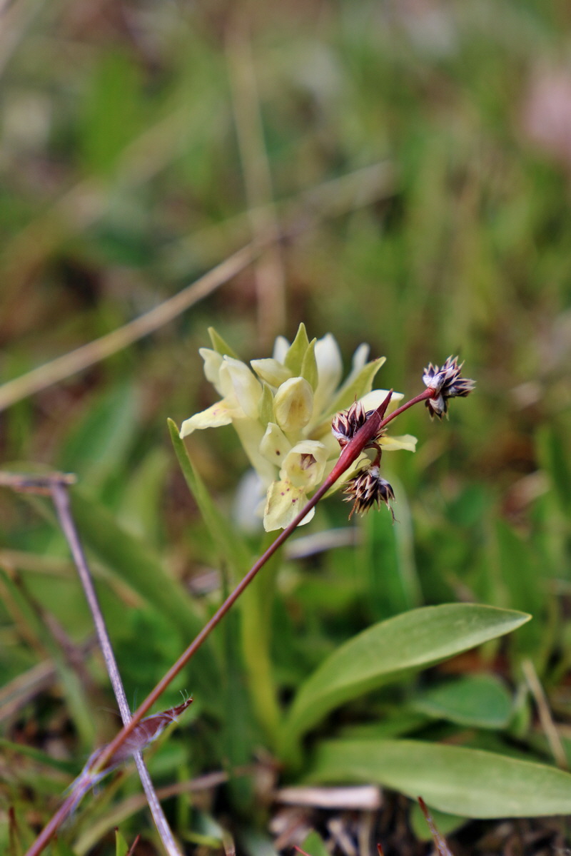 RNA_2017_04_30_1255p_Bildgr��e �ndern