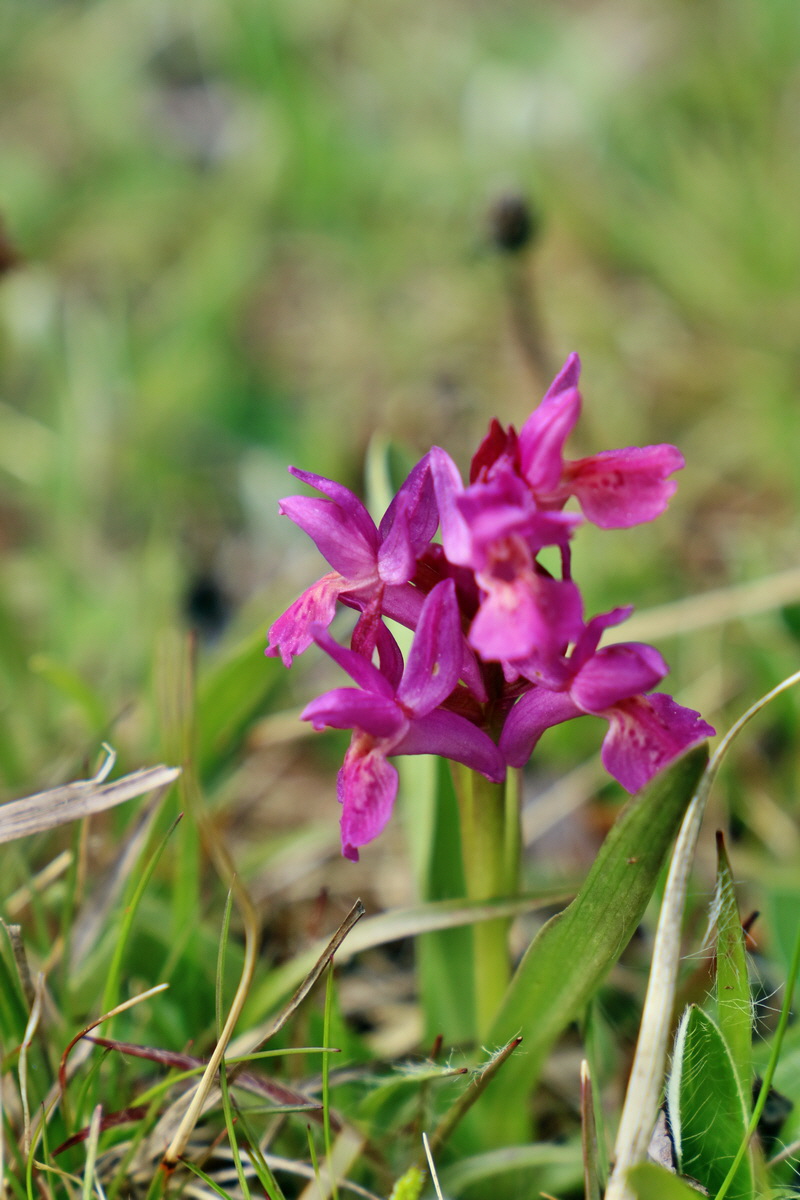 RNA_2017_04_30_1258p_Bildgr��e �ndern