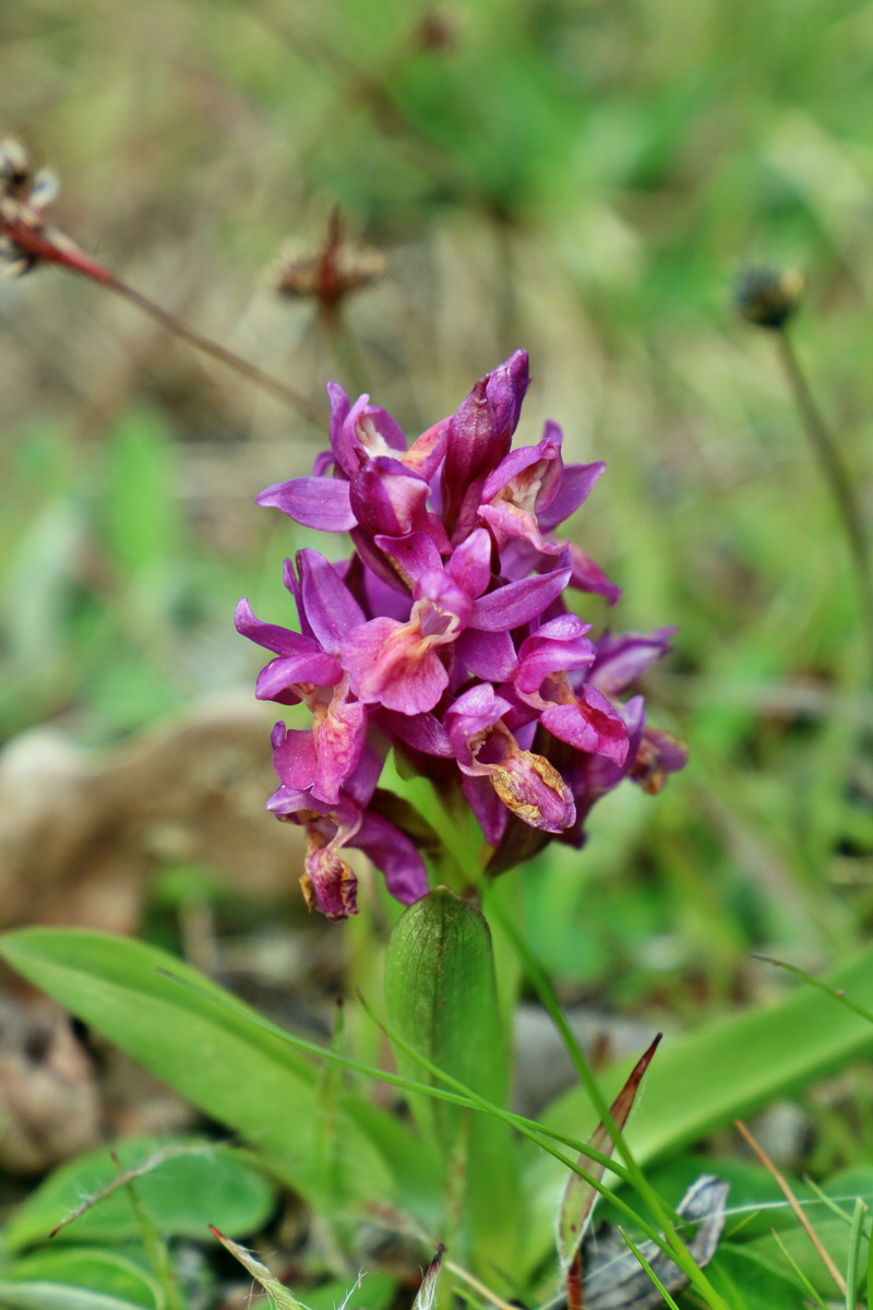 RNA_2017_04_30_1259p_Bildgr��e �ndern