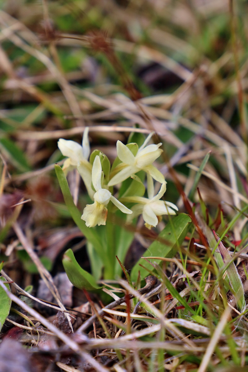 RNA_2017_04_30_1261p_Bildgr��e �ndern