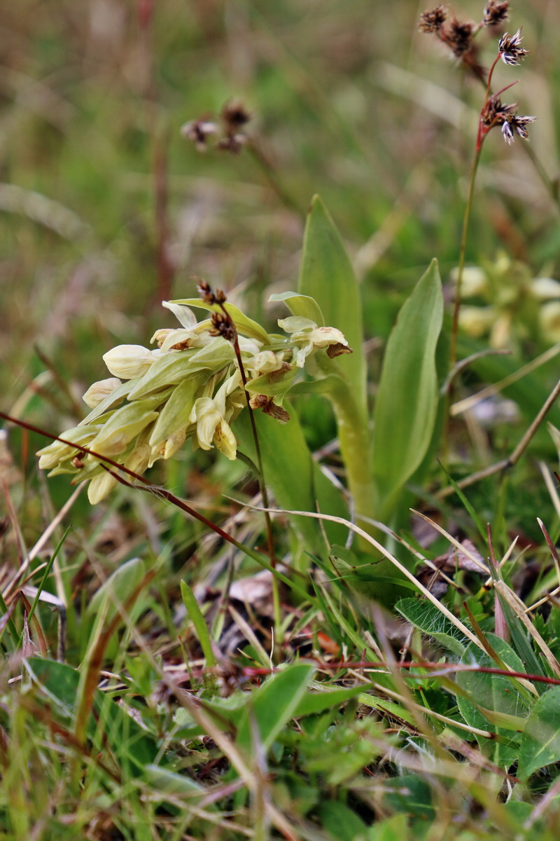 RNA_2017_04_30_1263p_Bildgr��e �ndern