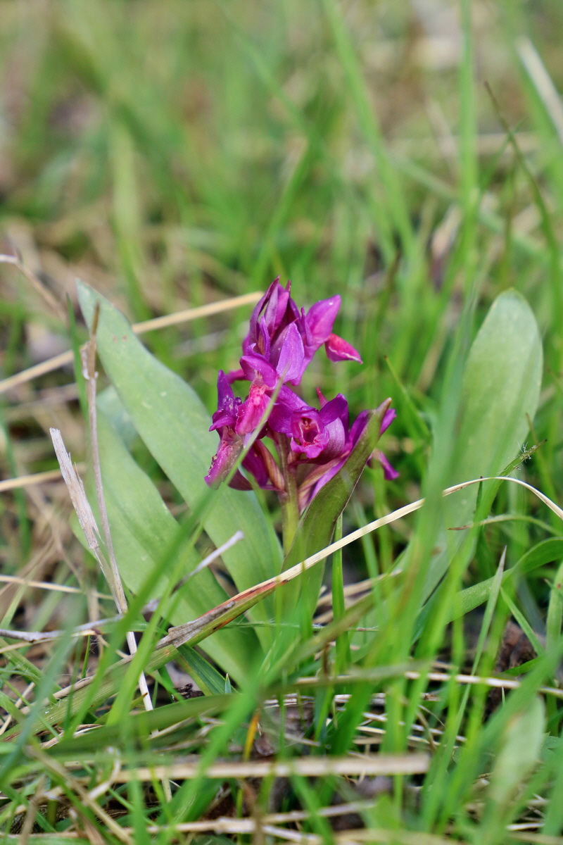 RNA_2017_04_30_1266p_Bildgr��e �ndern