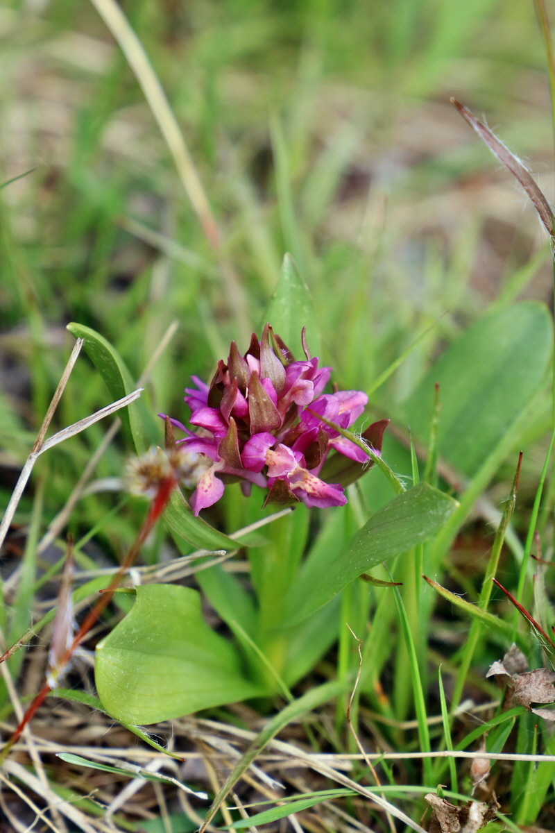 RNA_2017_04_30_1270p_Bildgr��e �ndern