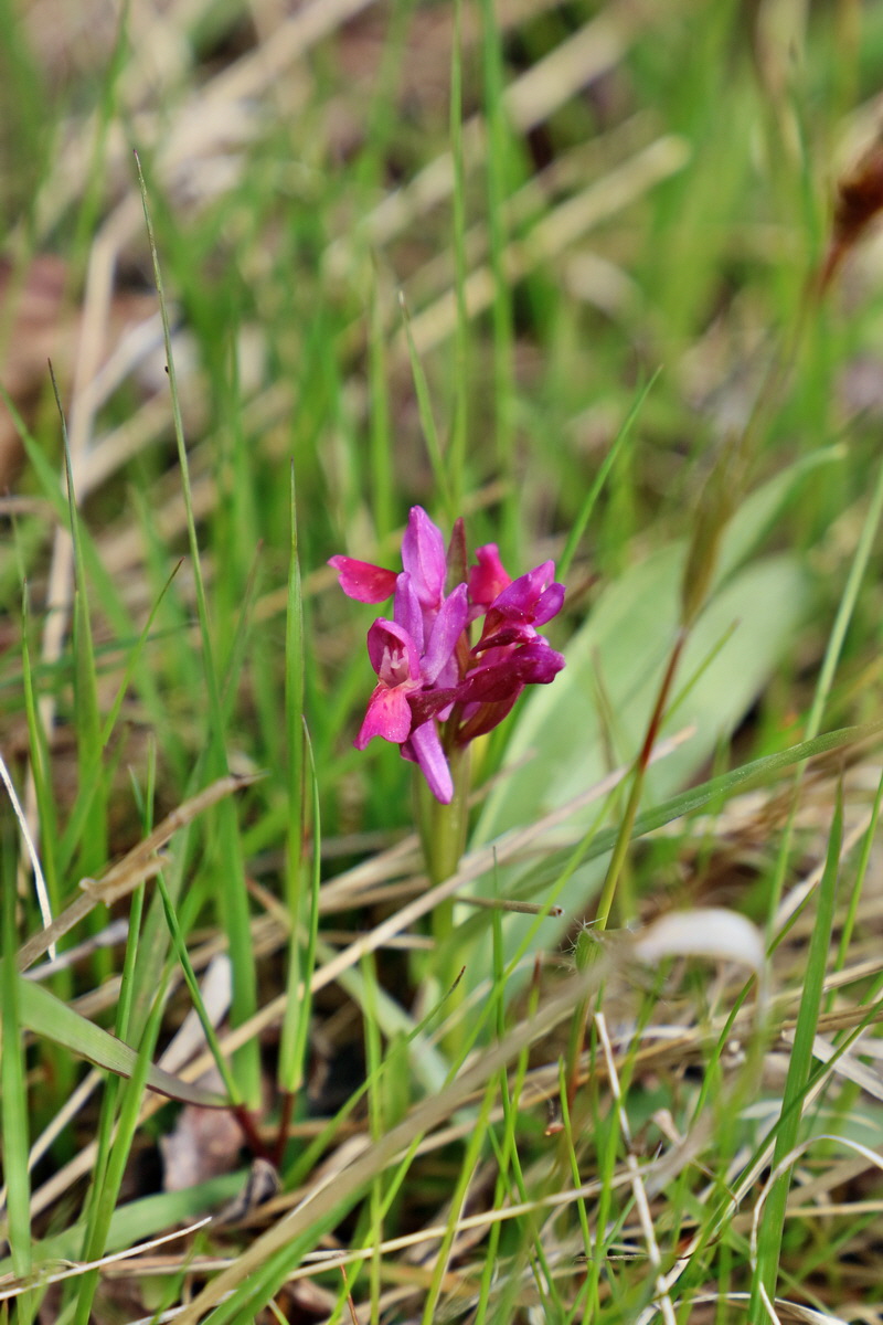 RNA_2017_04_30_1271p_Bildgr��e �ndern