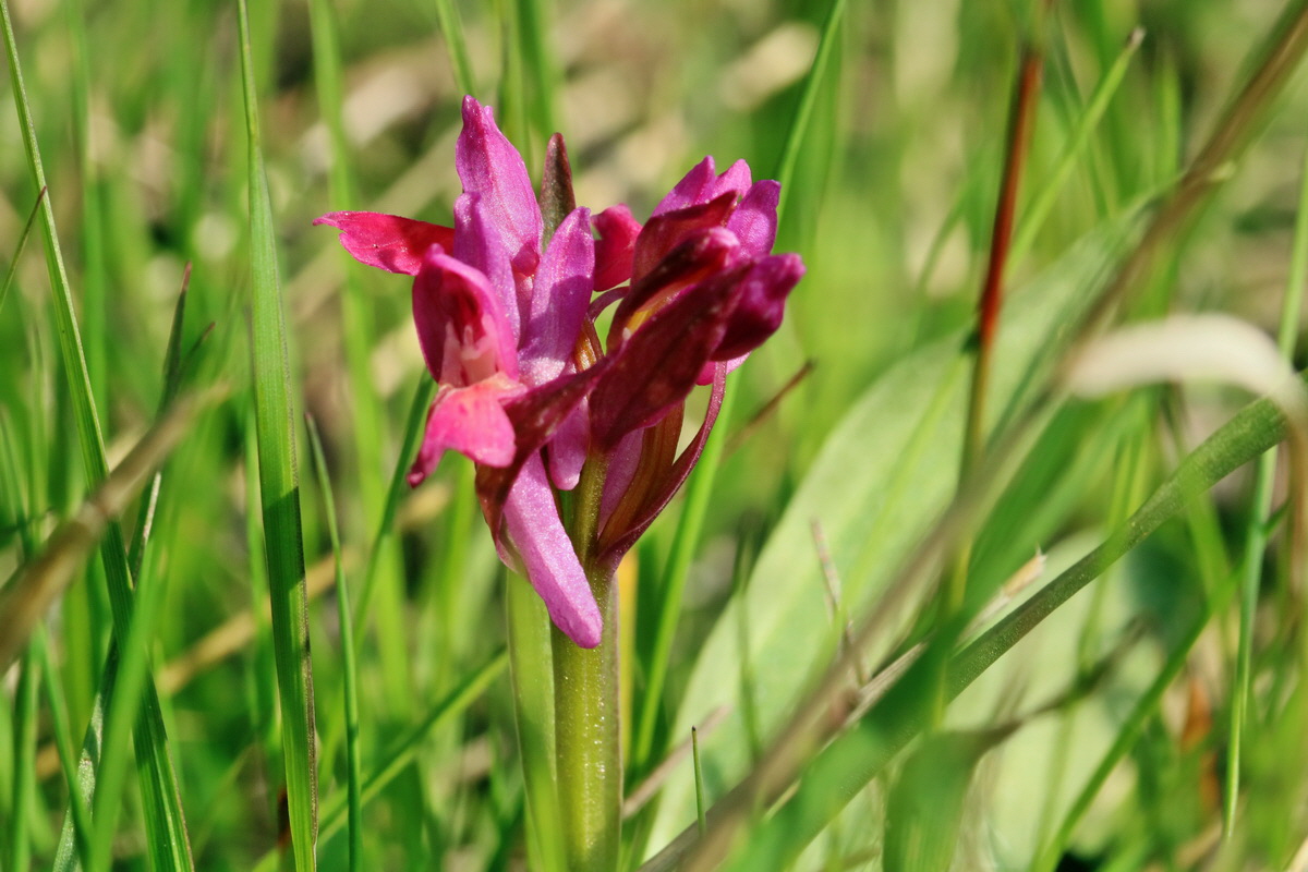 RNA_2017_04_30_1276p_Bildgr��e �ndern