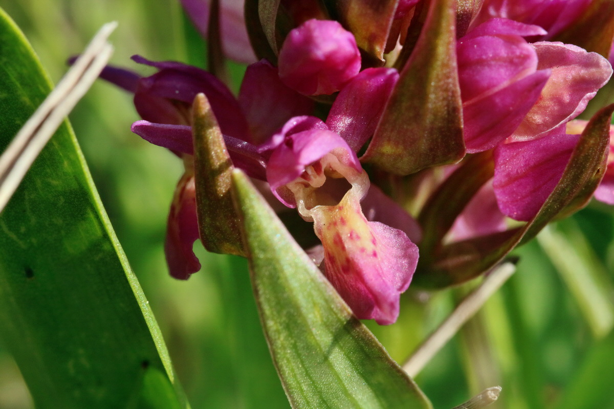 RNA_2017_04_30_1277p_Bildgr��e �ndern