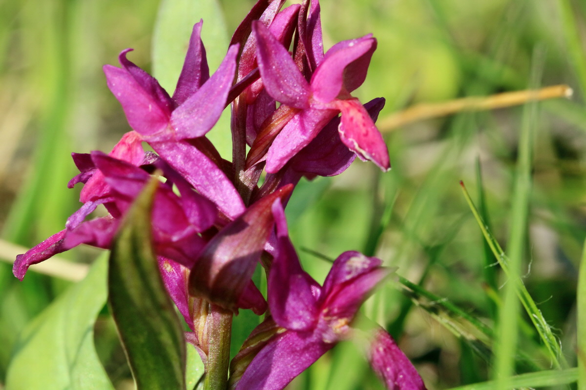 RNA_2017_04_30_1282p_Bildgr��e �ndern