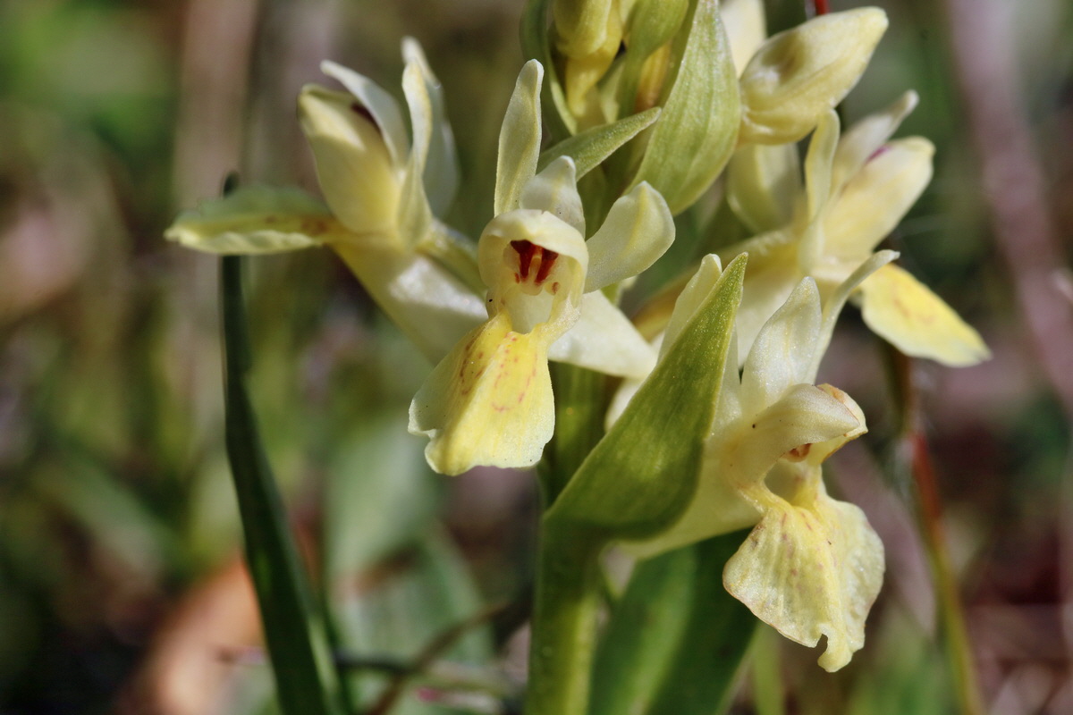 RNA_2017_04_30_1283p_Bildgr��e �ndern