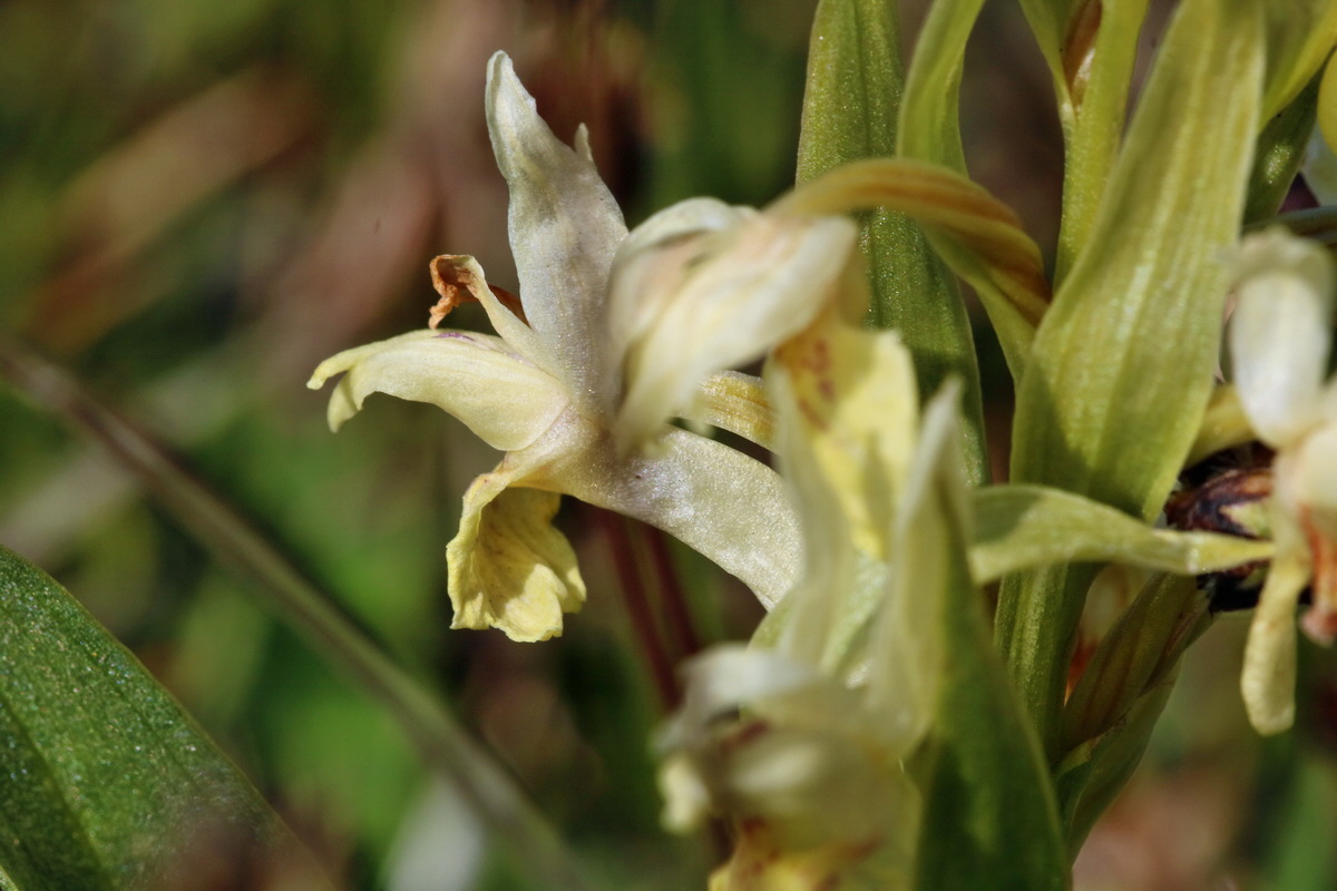 RNA_2017_04_30_1289p_Bildgr��e �ndern