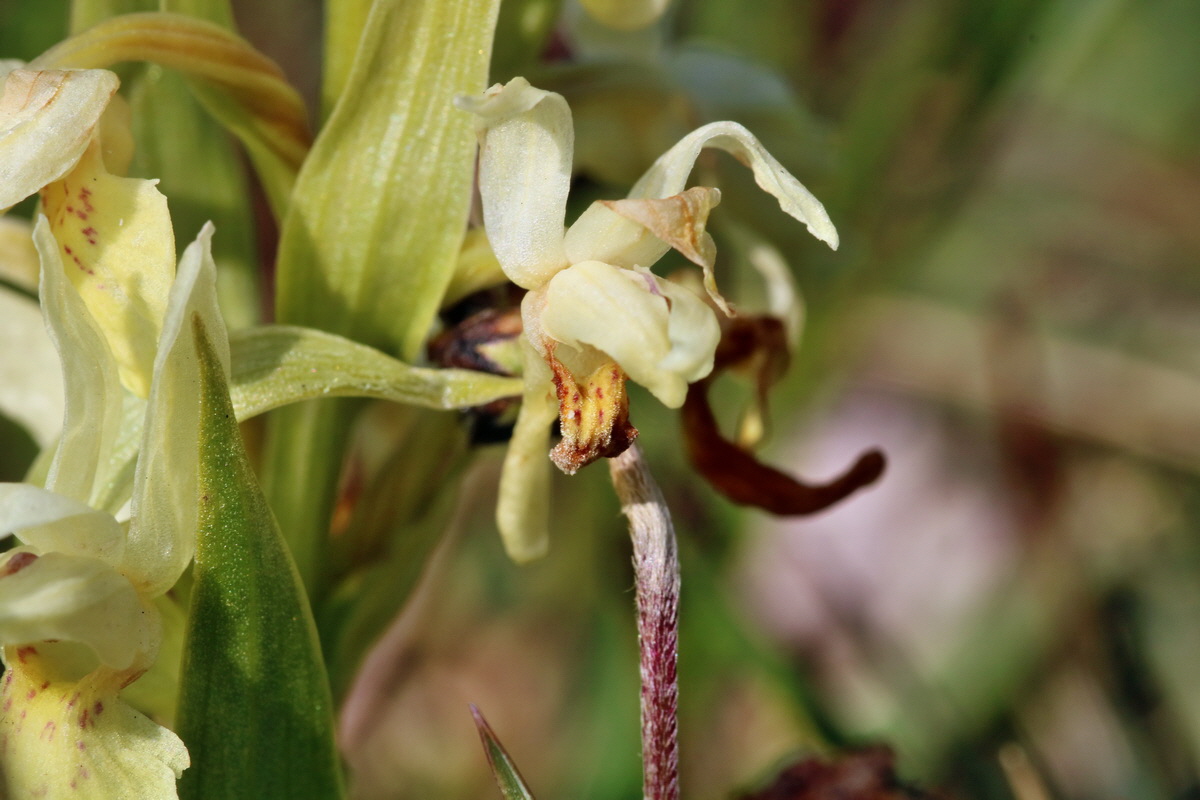 RNA_2017_04_30_1291p_Bildgr��e �ndern