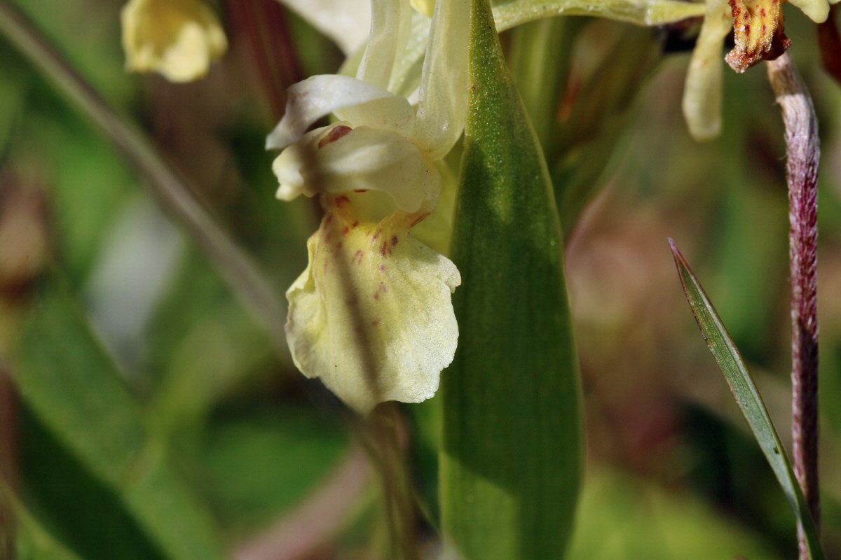 RNA_2017_04_30_1293p_Bildgr��e �ndern