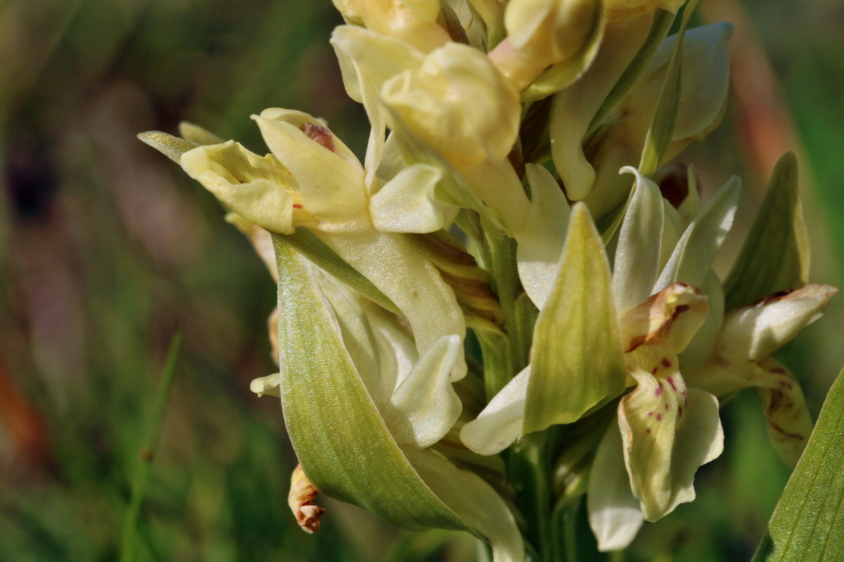 RNA_2017_04_30_1295p_Bildgr��e �ndern