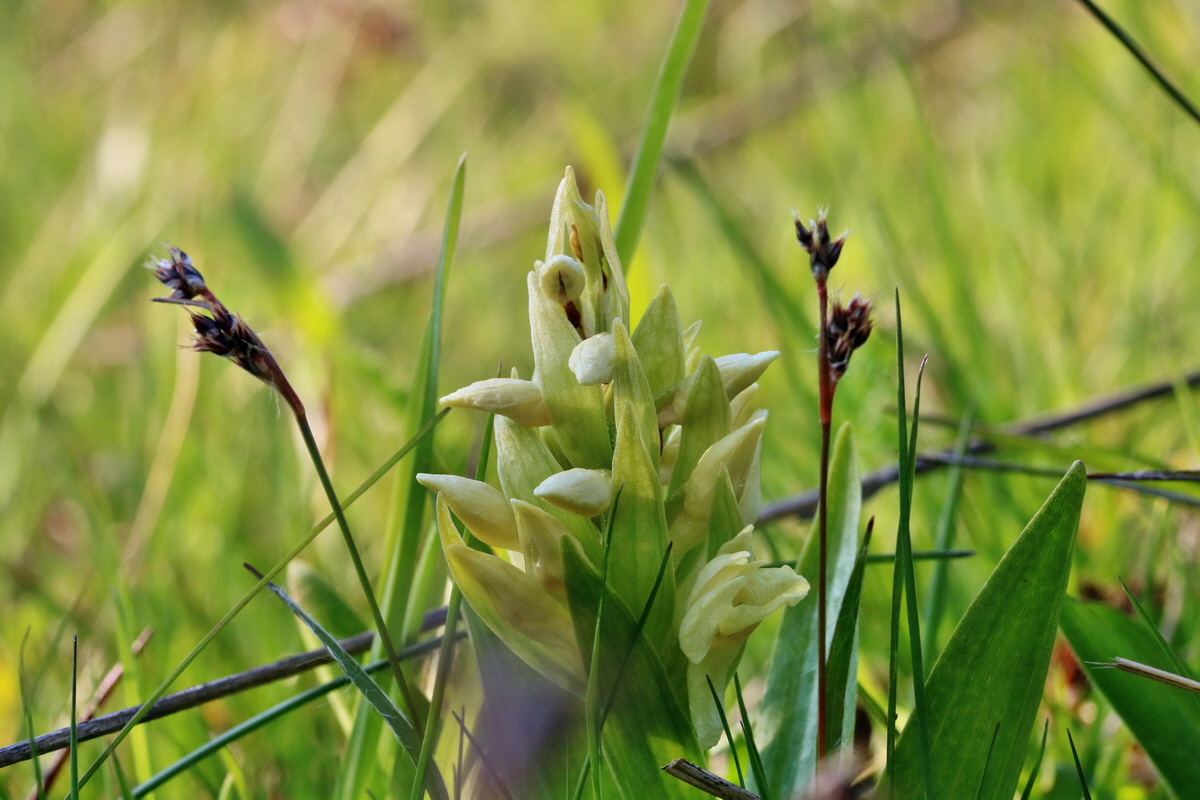 RNA_2017_04_30_1305p_Bildgr��e �ndern