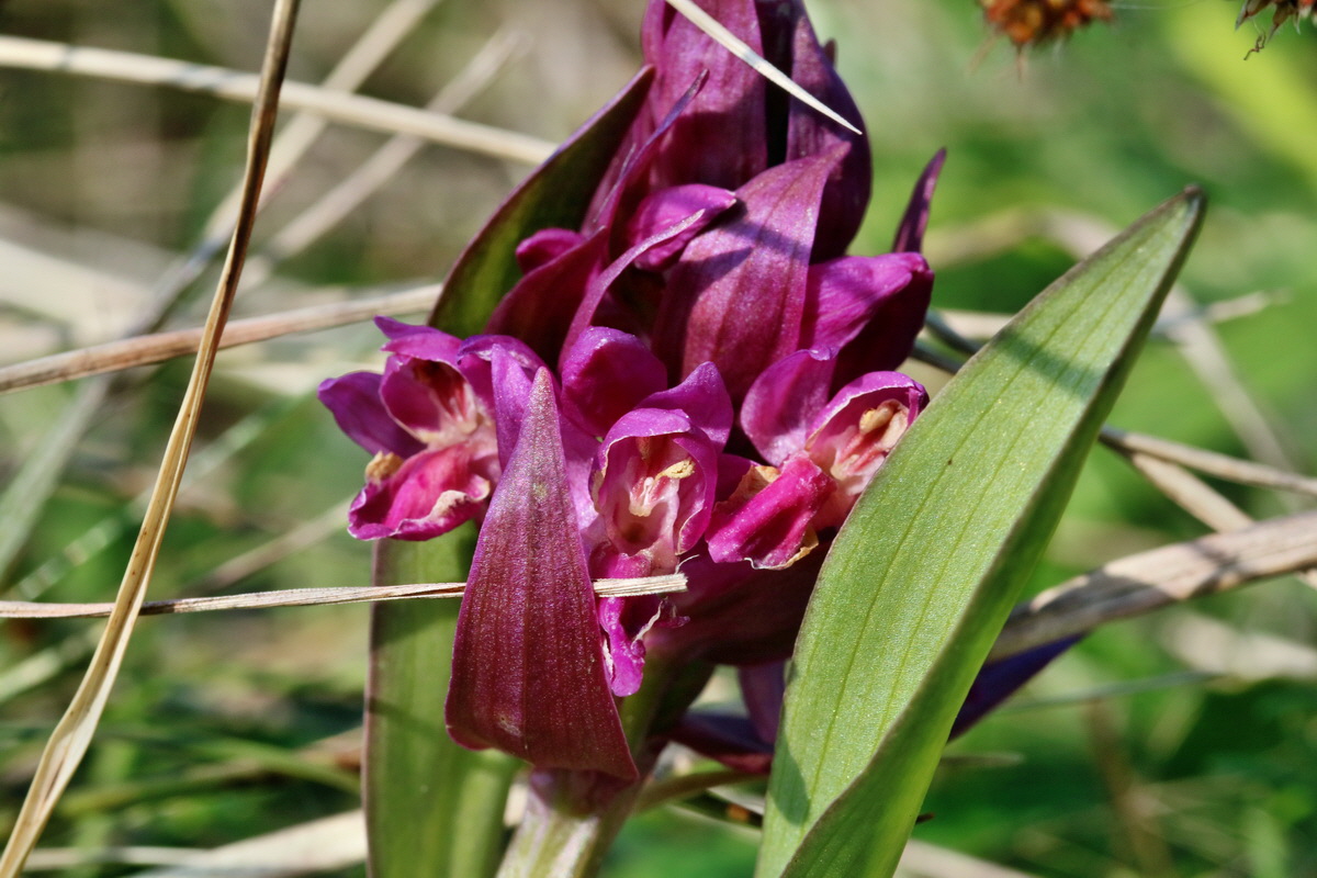 RNA_2017_04_30_1316p_Bildgr��e �ndern