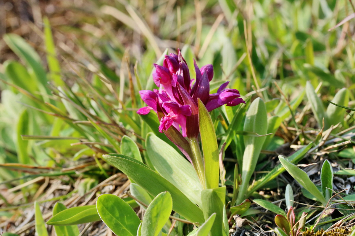 RNA_2017_04_30_1322p_Bildgr��e �ndern