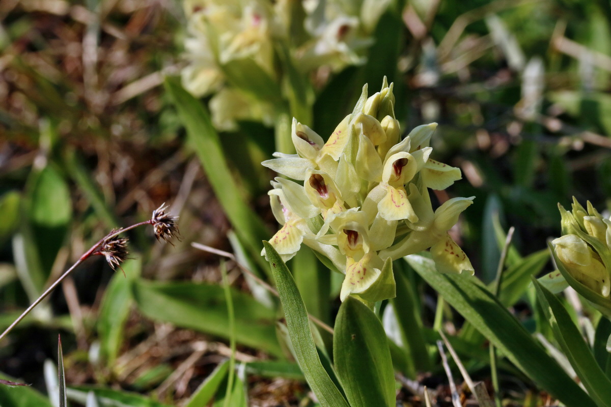 RNA_2017_04_30_1326p_Bildgr��e �ndern