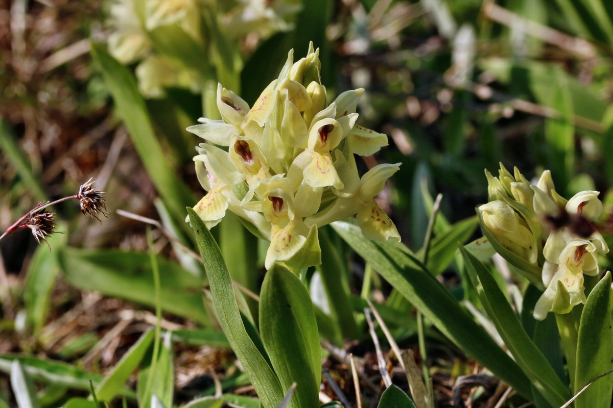 RNA_2017_04_30_1328p_Bildgr��e �ndern