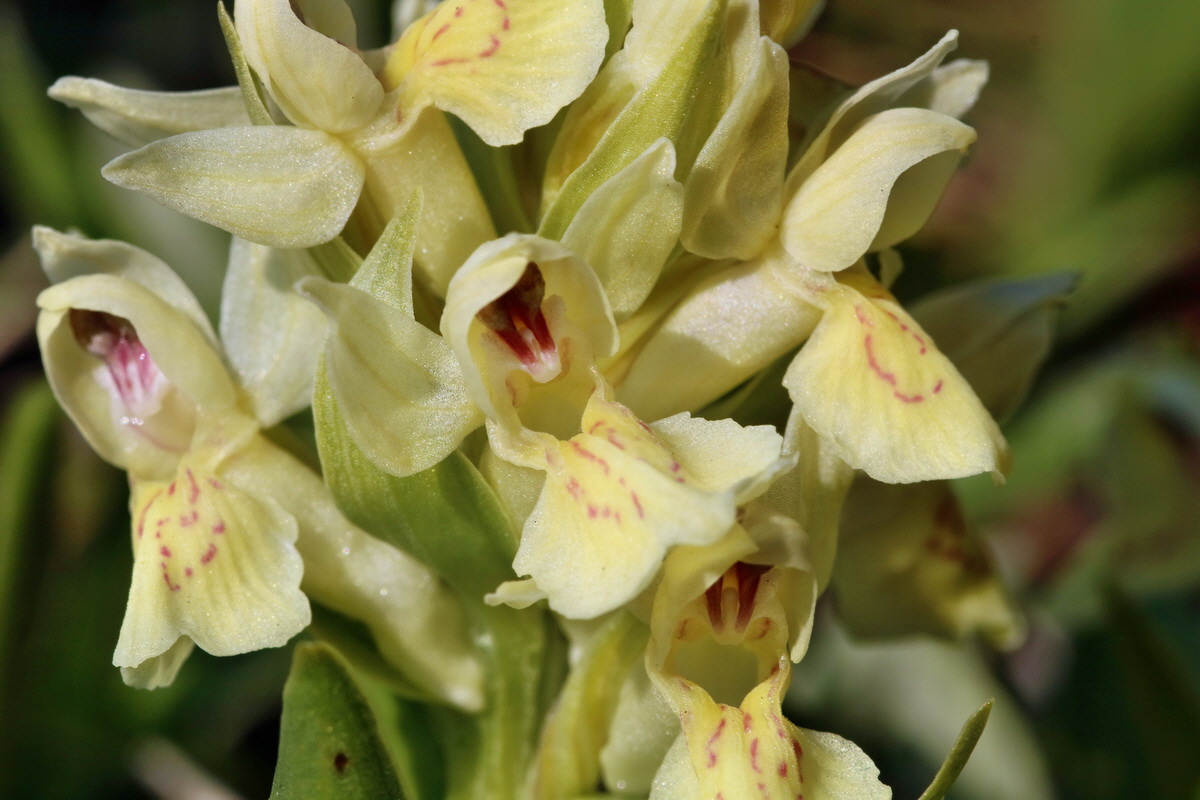 RNA_2017_04_30_1338p_Bildgr��e �ndern