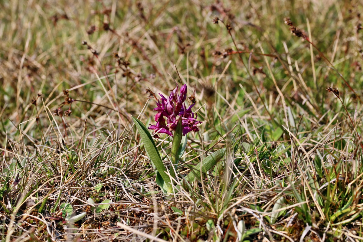 RNA_2017_04_30_1353p_Bildgr��e �ndern