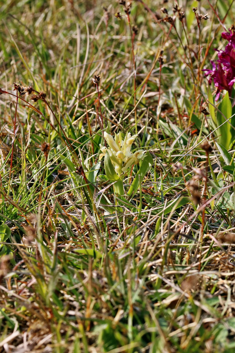 RNA_2017_04_30_1359p_Bildgr��e �ndern