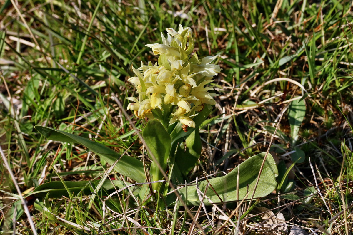 RNA_2017_04_30_1376p_Bildgr��e �ndern