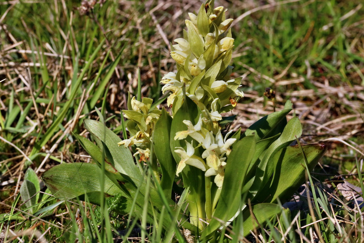 RNA_2017_04_30_1380p_Bildgr��e �ndern