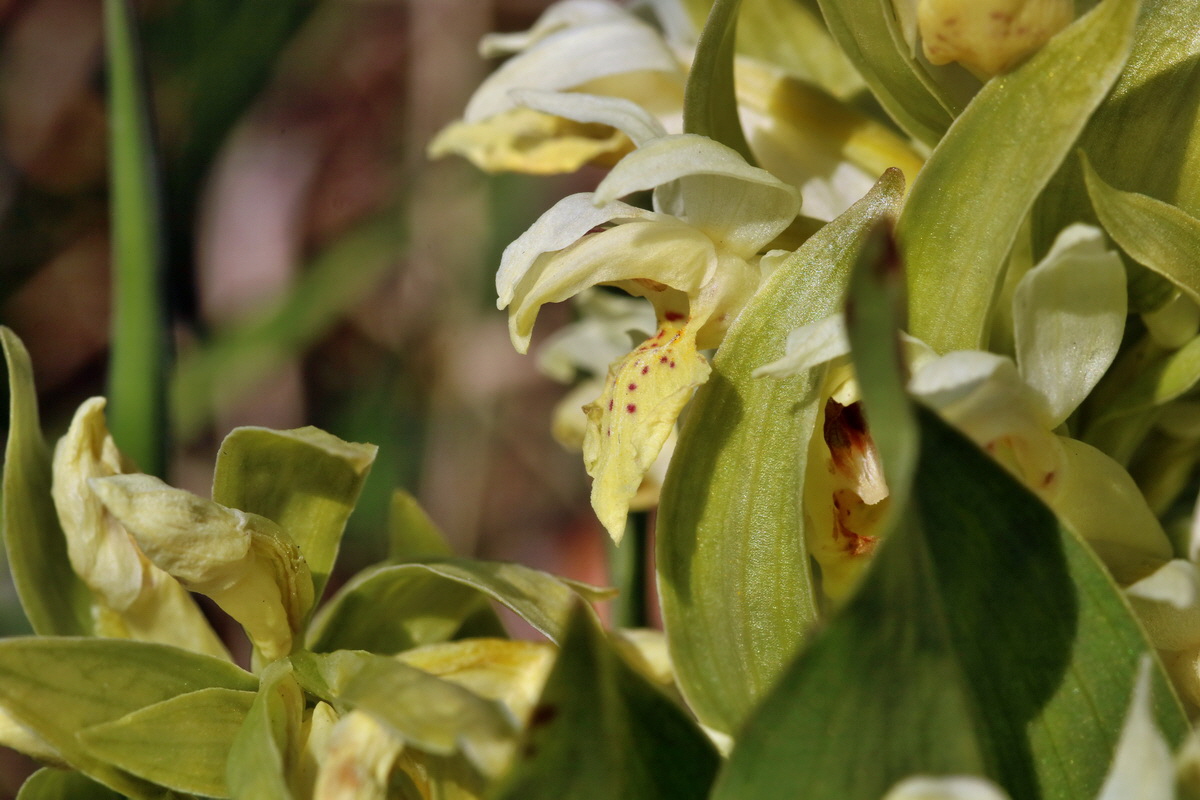 RNA_2017_04_30_1386p_Bildgr��e �ndern