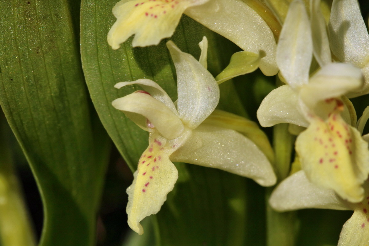 RNA_2017_04_30_1390p_Bildgr��e �ndern