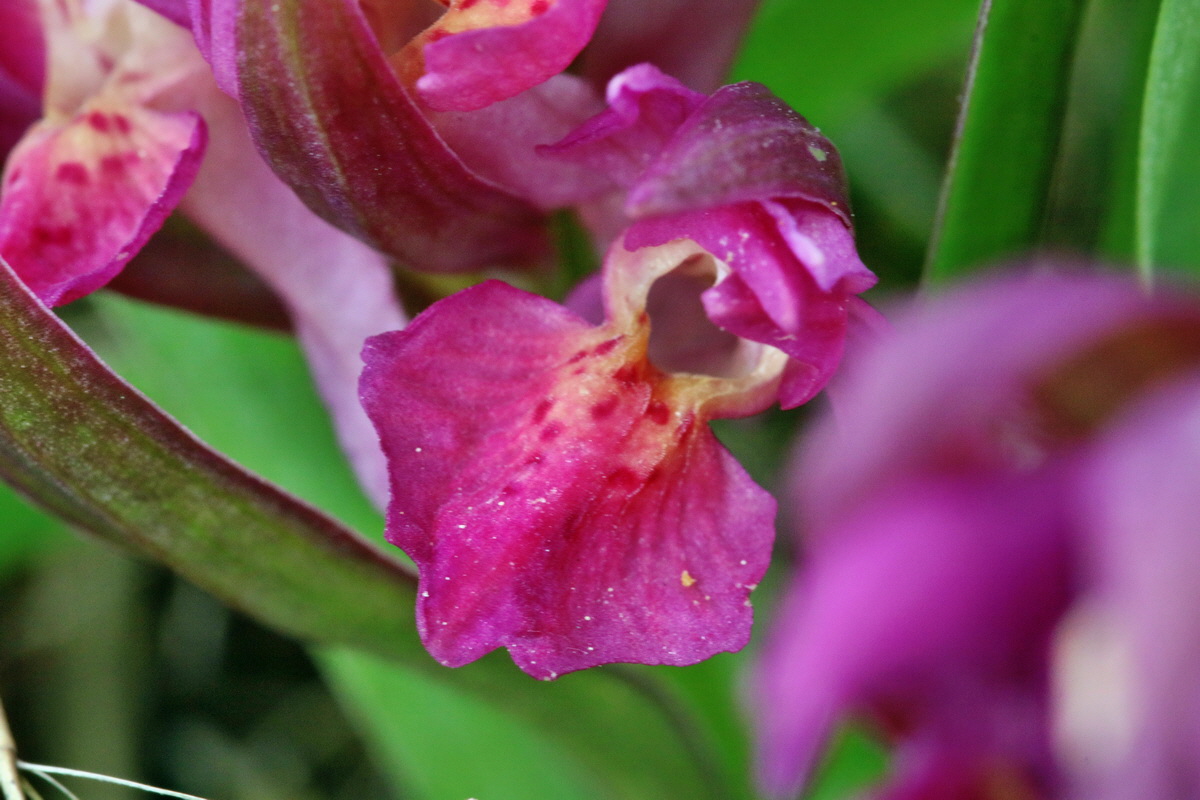 RNA_2017_04_30_1412p_Bildgr��e �ndern