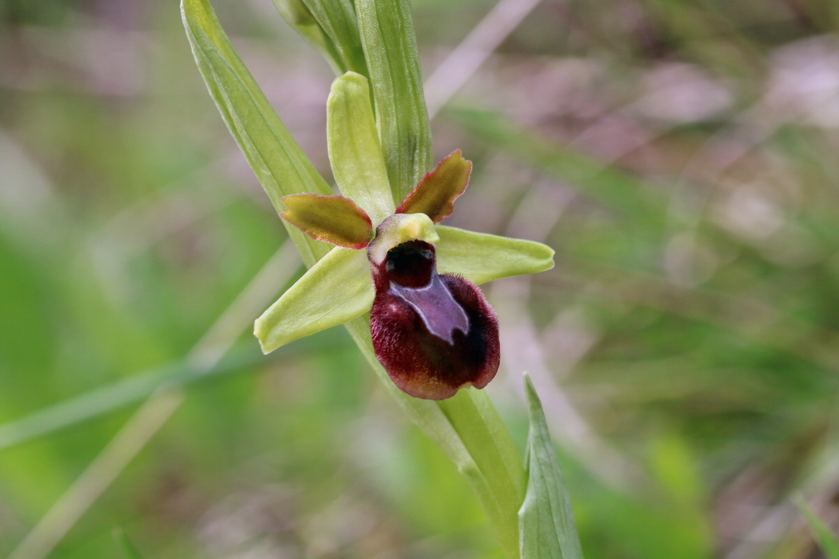 RNA-2017-04-10-00028340p_Bildgr��e �ndern