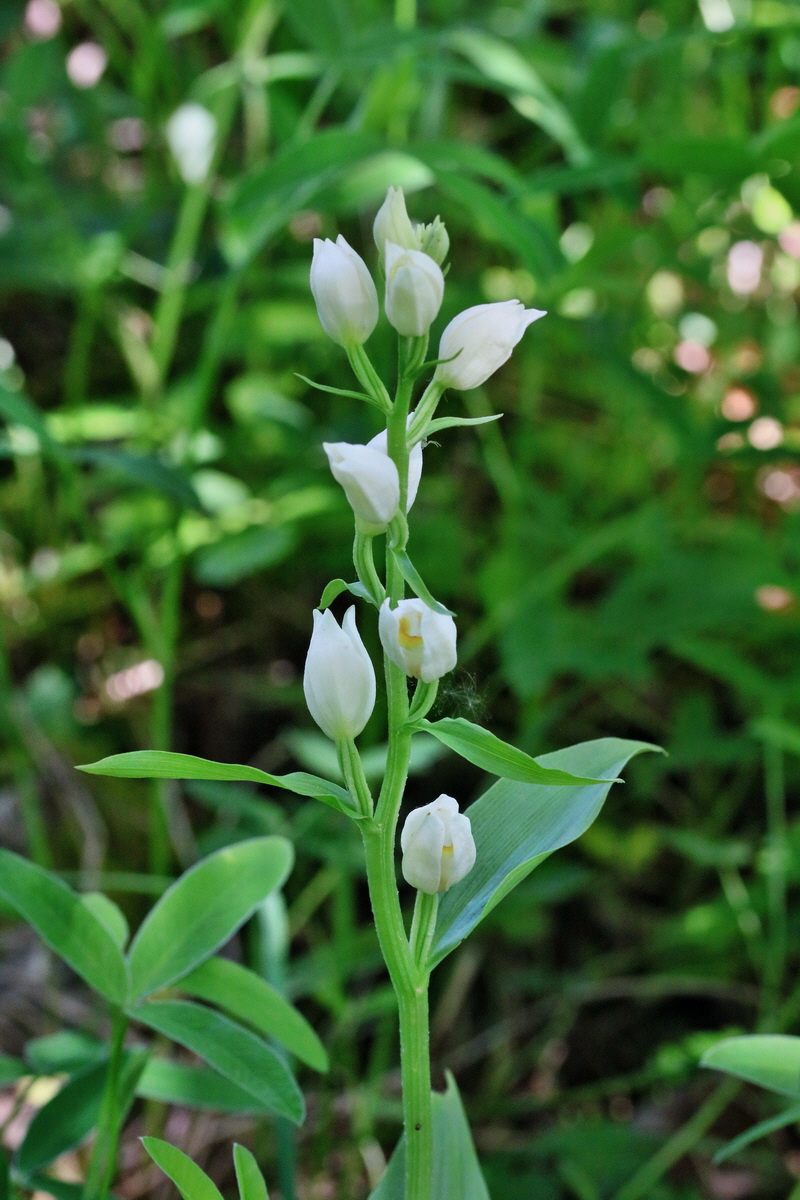 RNA_2017_06_01_7650p_Bildgr��e �ndern