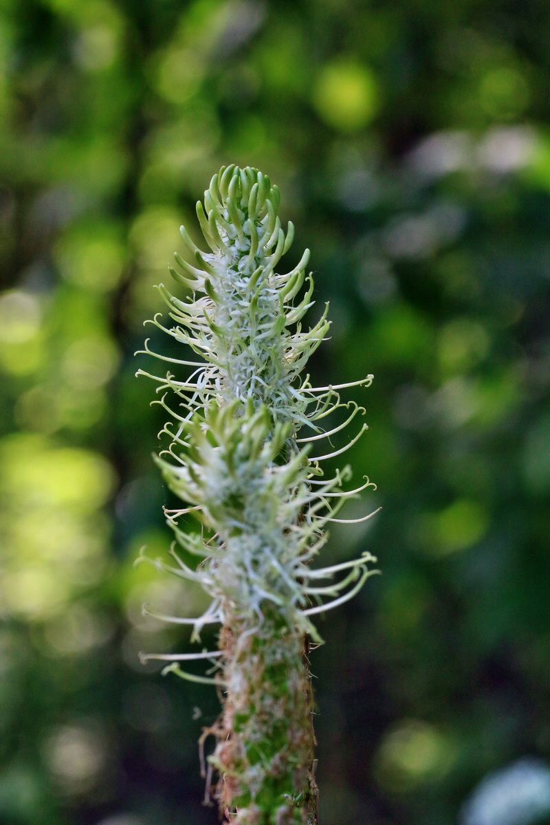 RNA_2017_06_01_7656p_Bildgr��e �ndern