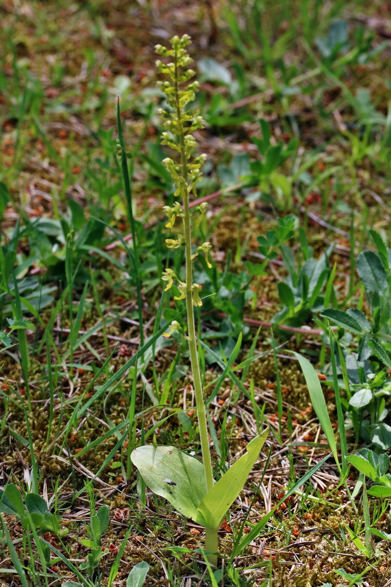 RNA_2017_06_01_7739p_Bildgr��e �ndern