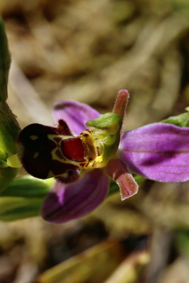 RNA_2017_06_01_7750p_Bildgr��e �ndern