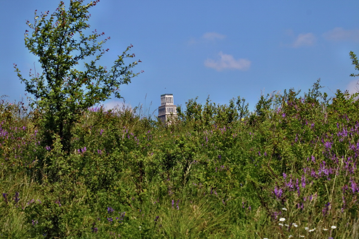 RNA_2017_06_01_7776p_Bildgr��e �ndern