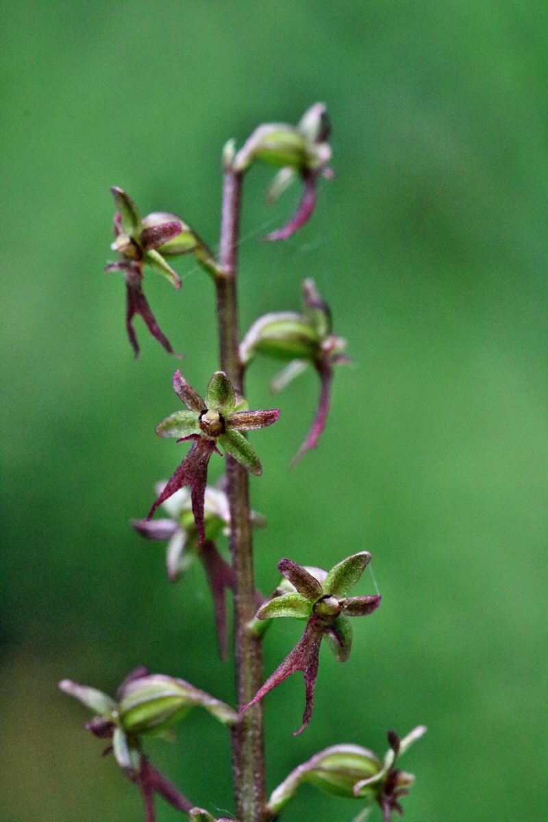 RNA_2017_06_03_7860p_Bildgr��e �ndern