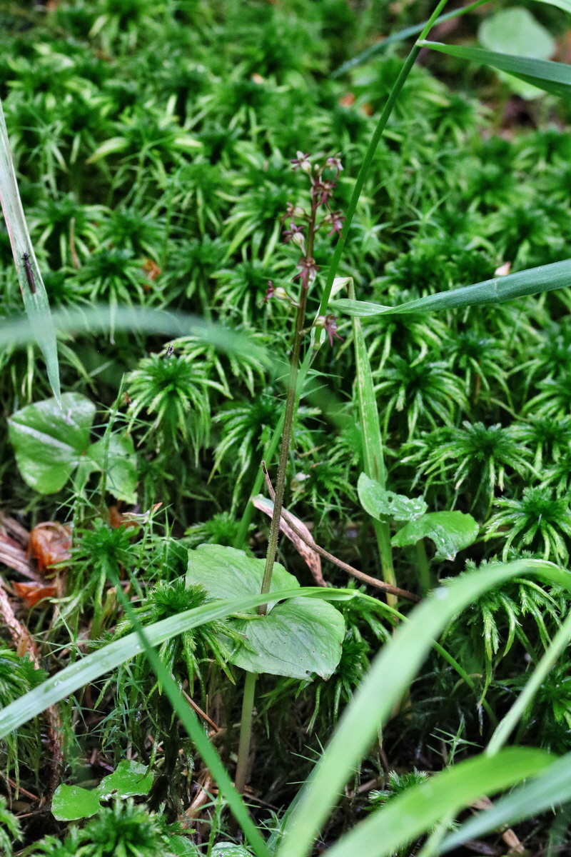 RNA_2017_06_03_7875p_Bildgr��e �ndern