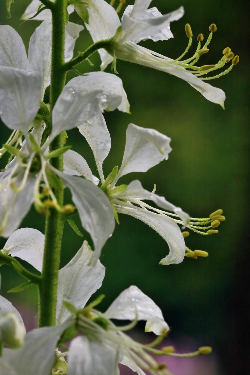 RNA_2017_06_03_8230p_Bildgr��e �ndern