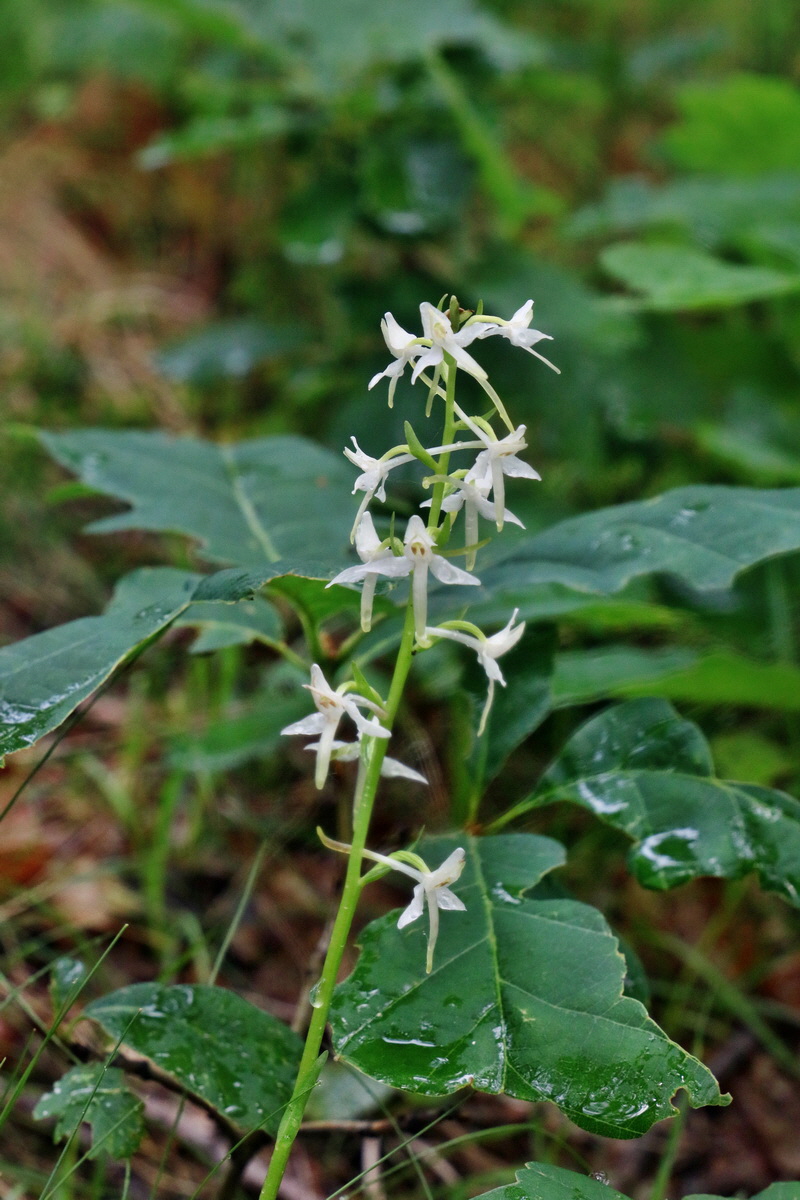 RNA_2017_06_03_8275p_Bildgr��e �ndern