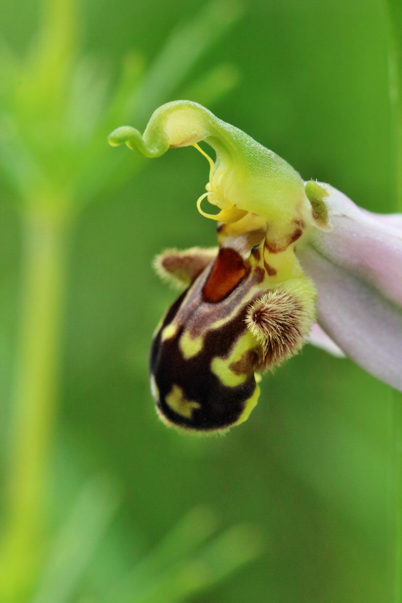 RNA_2017_06_03_8319p_Bildgr��e �ndern